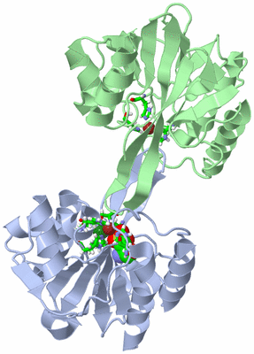 Image Asym./Biol. Unit - sites