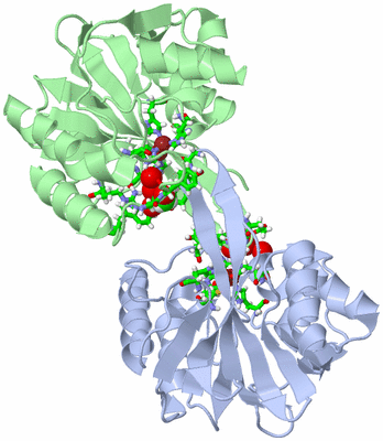 Image Asym./Biol. Unit - sites