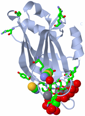 Image Biol. Unit 1 - sites