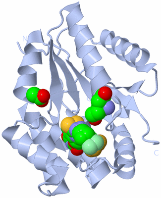 Image Biological Unit 1