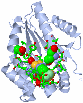 Image Biol. Unit 1 - sites