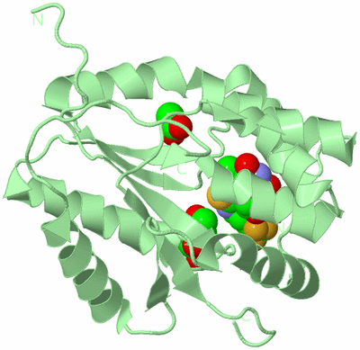 Image Biological Unit 2