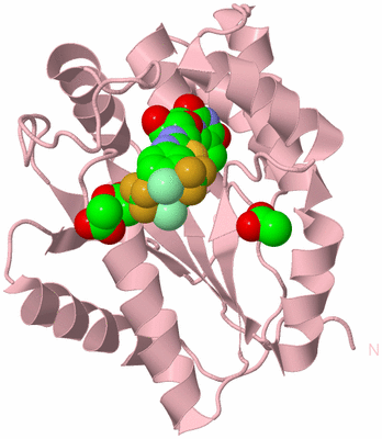 Image Biological Unit 3