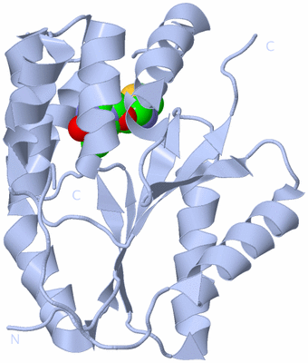 Image Biological Unit 1