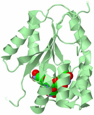 Image Biological Unit 2