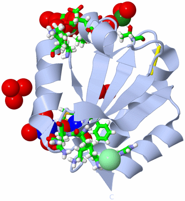 Image Biol. Unit 1 - sites