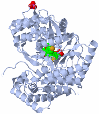 Image Biological Unit 1