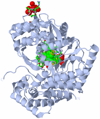 Image Biol. Unit 1 - sites