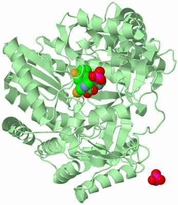 Image Biological Unit 2