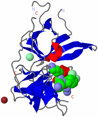 Image Asym./Biol. Unit