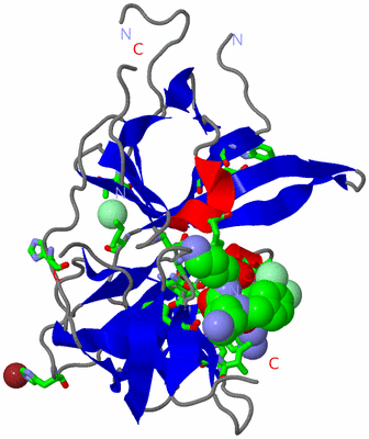 Image Asym./Biol. Unit - sites