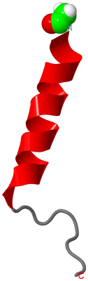 Image NMR Structure - model 1