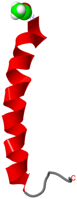 Image NMR Structure - model 1