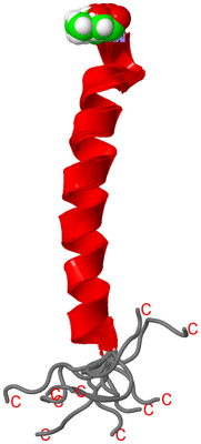 Image NMR Structure - all models