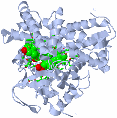 Image Biol. Unit 1 - sites