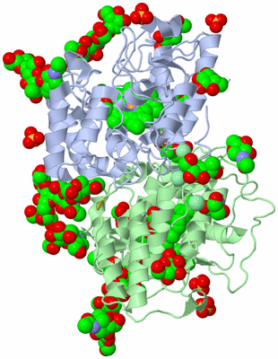 Image Asym./Biol. Unit