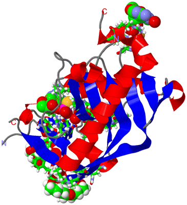 Image Asym./Biol. Unit - sites