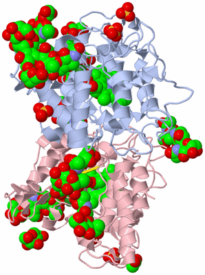 Image Biological Unit 1