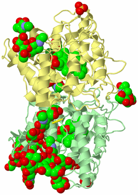 Image Biological Unit 2