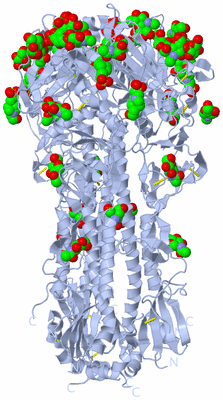 Image Biological Unit 1