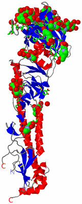 Image Asym. Unit - sites