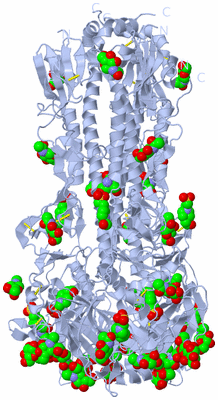 Image Biological Unit 1