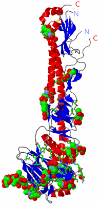 Image Asym. Unit - sites