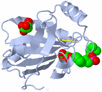 Image Biological Unit 1