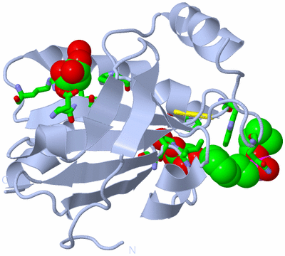 Image Biol. Unit 1 - sites