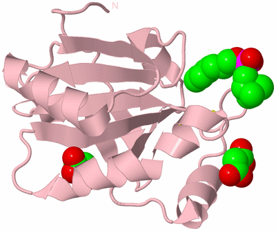 Image Biological Unit 3