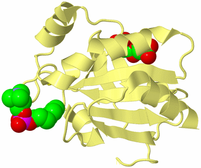 Image Biological Unit 4