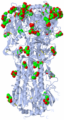 Image Biological Unit 1