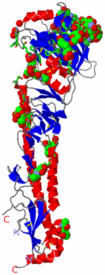 Image Asym. Unit - sites