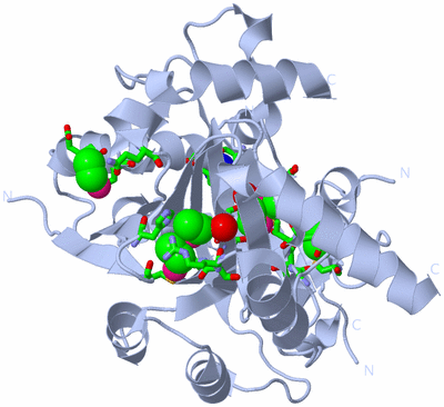 Image Biol. Unit 1 - sites