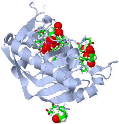 Image Biol. Unit 1 - sites