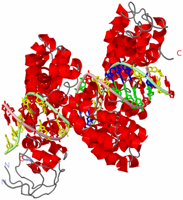 Image Asym./Biol. Unit