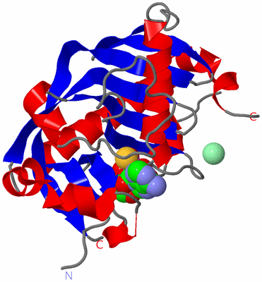 Image Asym./Biol. Unit