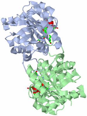 Image Asym./Biol. Unit - sites