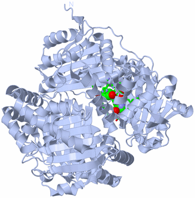 Image Biol. Unit 1 - sites