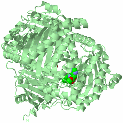 Image Biological Unit 2