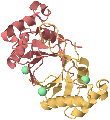 Image Biological Unit 1