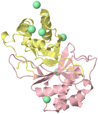 Image Biological Unit 2