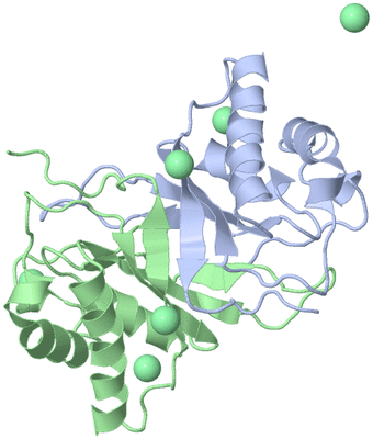 Image Biological Unit 3