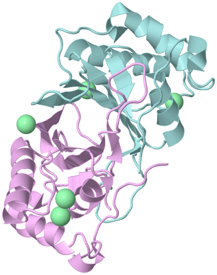 Image Biological Unit 4