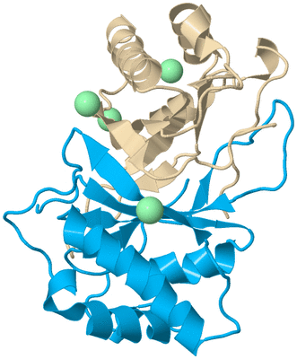 Image Biological Unit 5