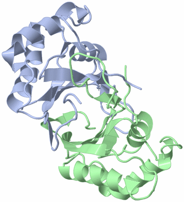 Image Biological Unit 3