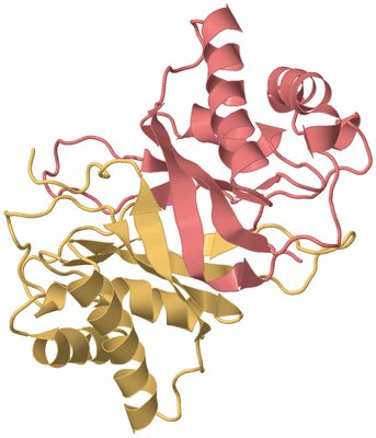 Image Biological Unit 4