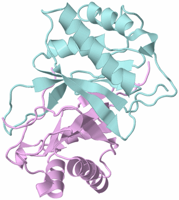 Image Biological Unit 5