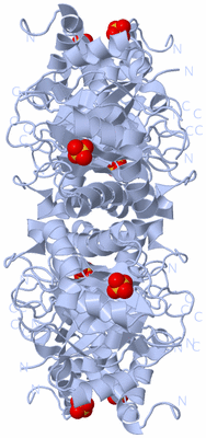 Image Biological Unit 1