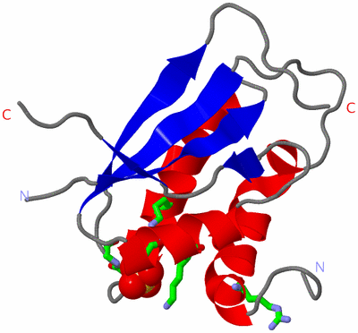 Image Asym. Unit - sites